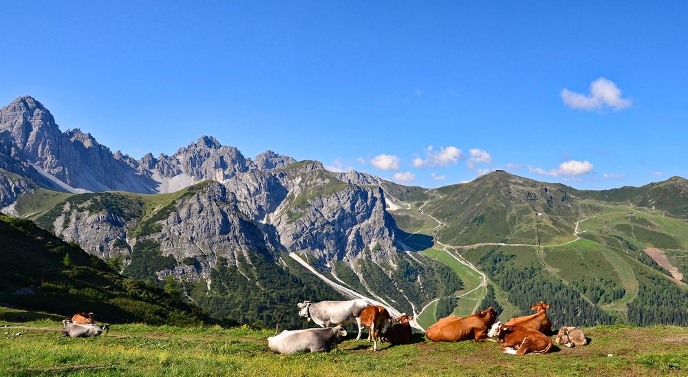 In der Axamer Lizum