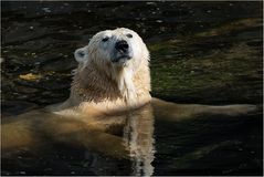 In der Badewanne