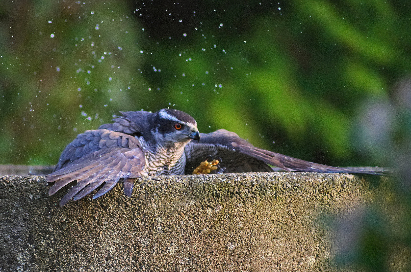 In der Badewanne