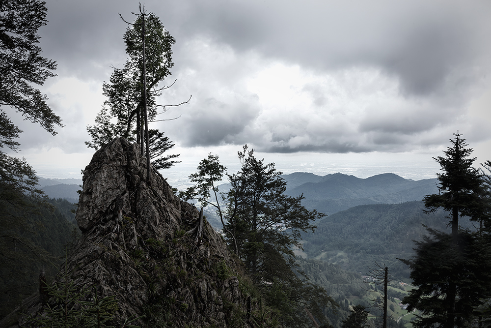 in der Belchen Nordwand auf unmarkiertem Pfad