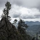 in der Belchen Nordwand auf unmarkiertem Pfad