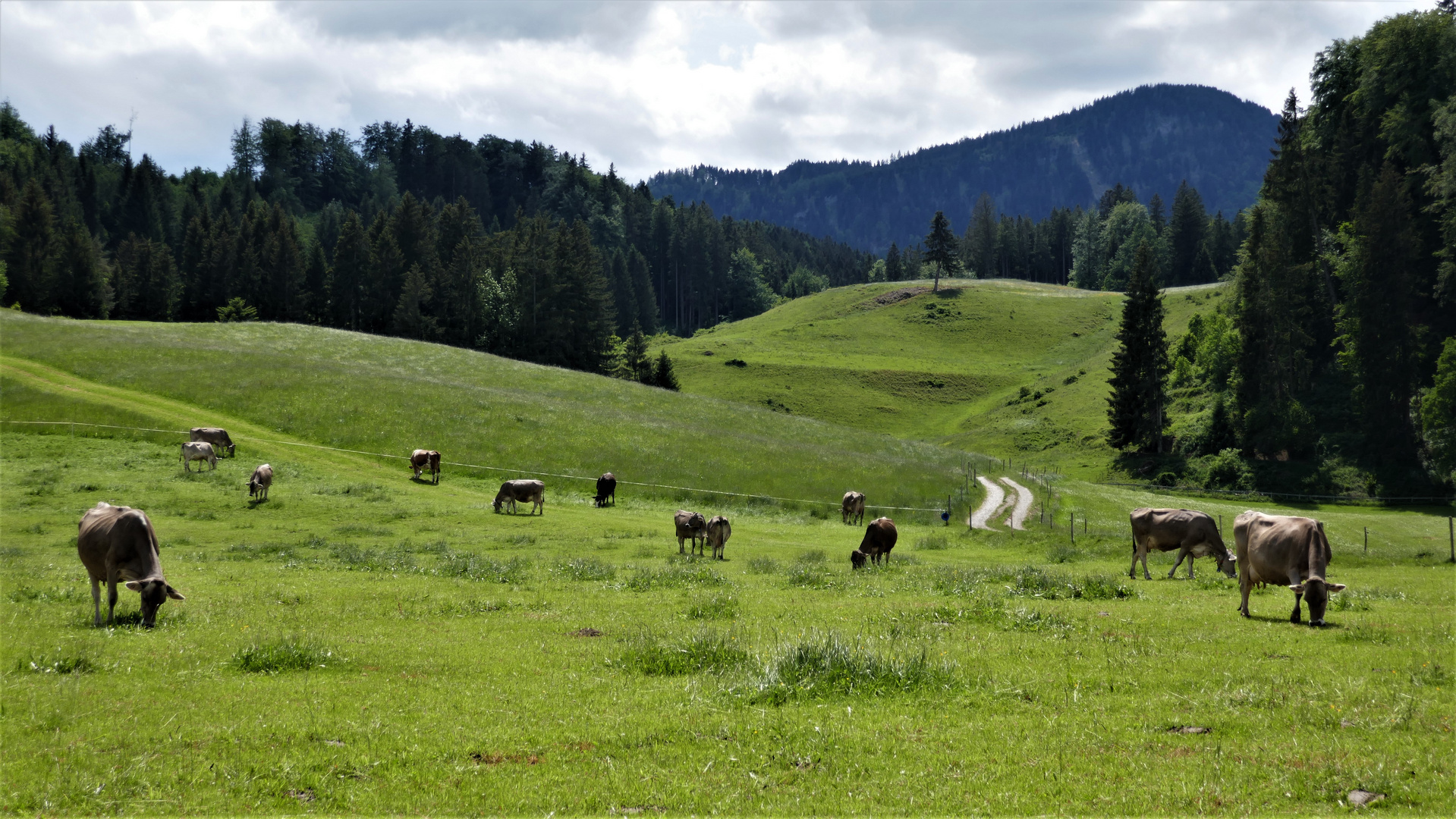 In der Bergstätt