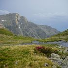 In der Bergwelt Kärntens