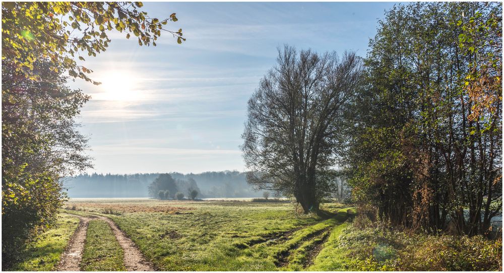 in der Bilsbek Niederung