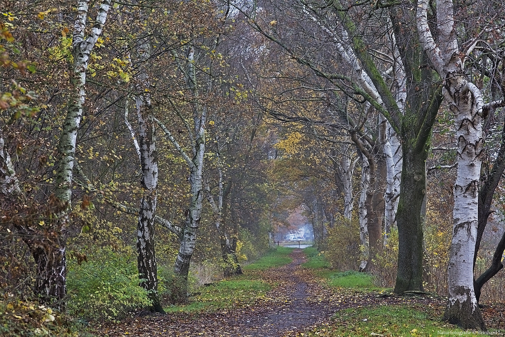  In der Birkenallee