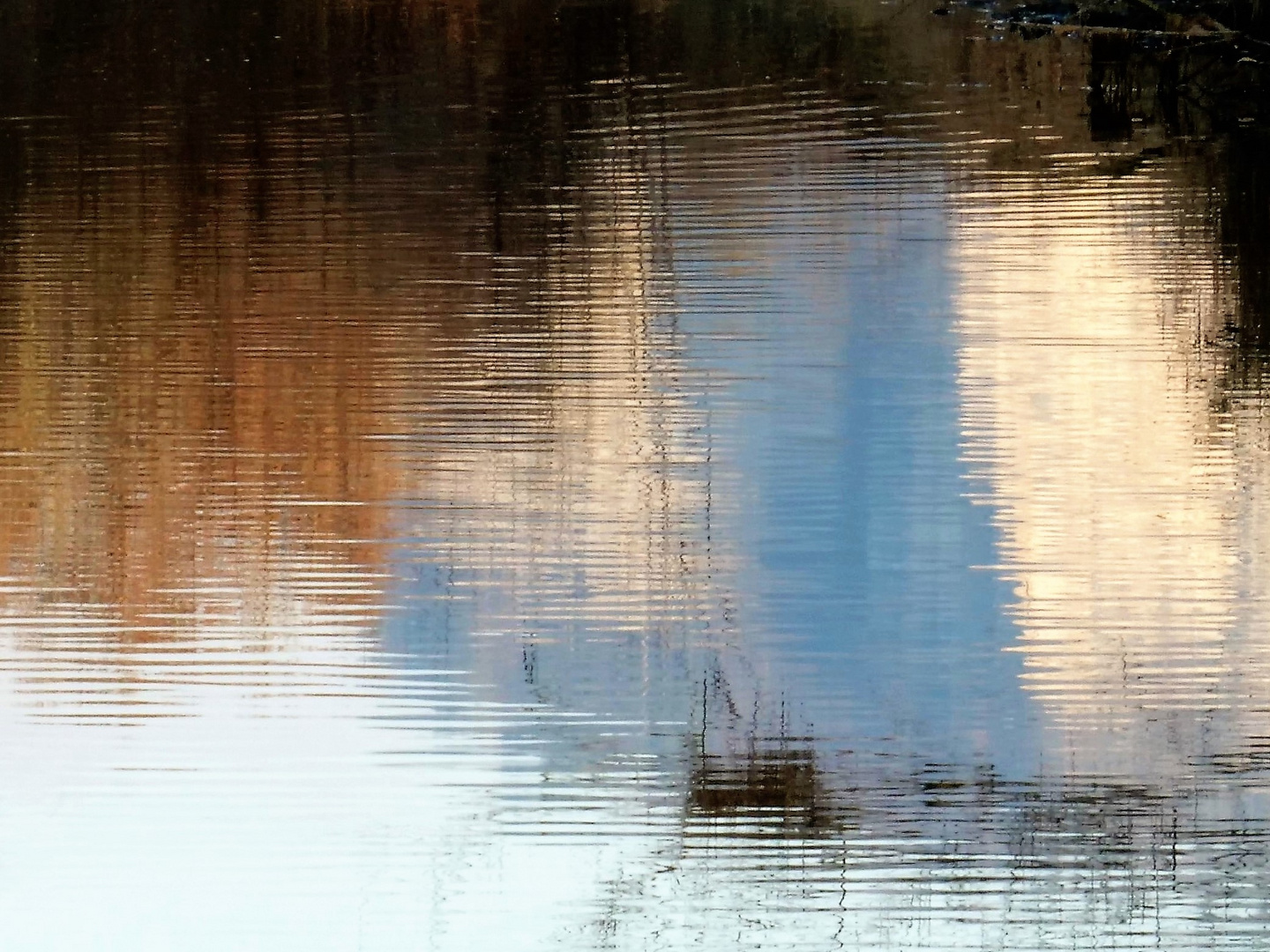 In der blauen Donau