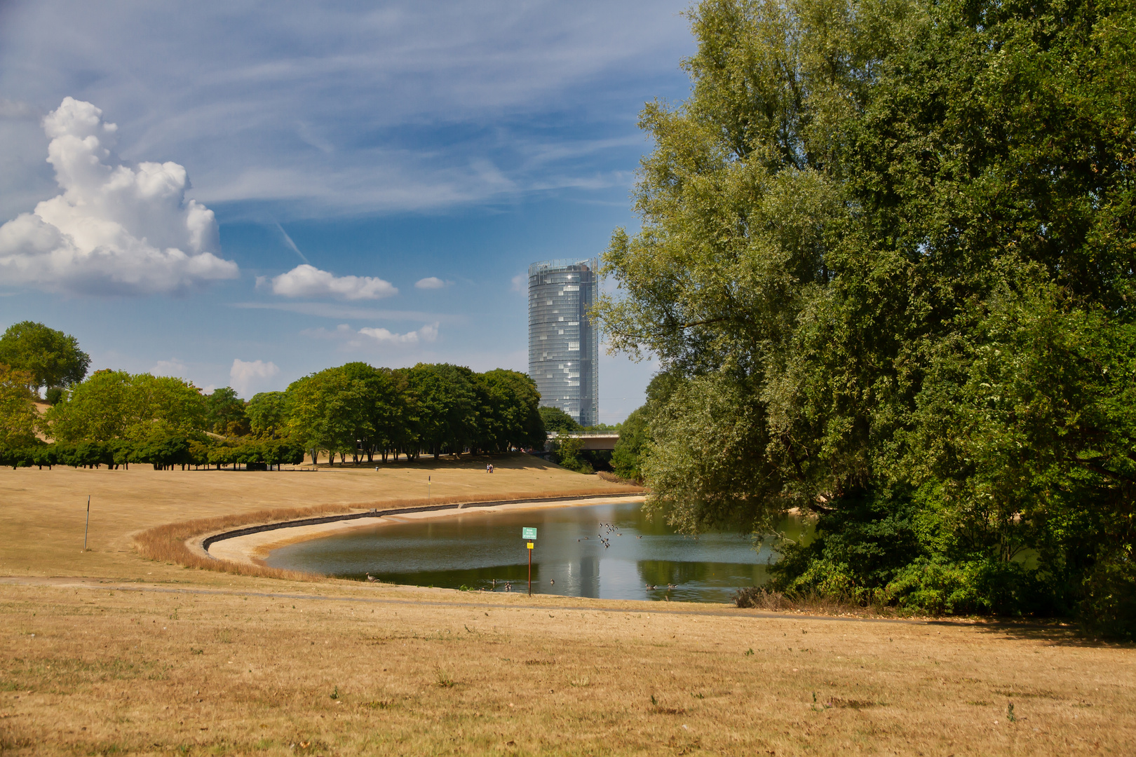 In der Bonner Rheinaue