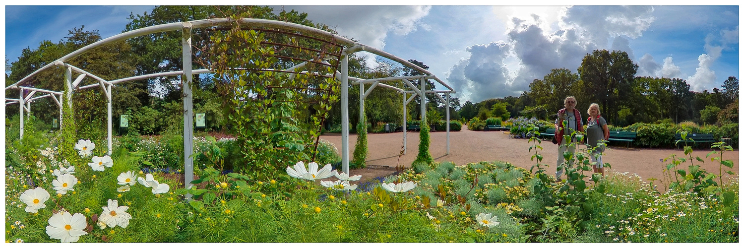 In der Botanik unterwegs Foto & Bild panorama, bremen, botanischer