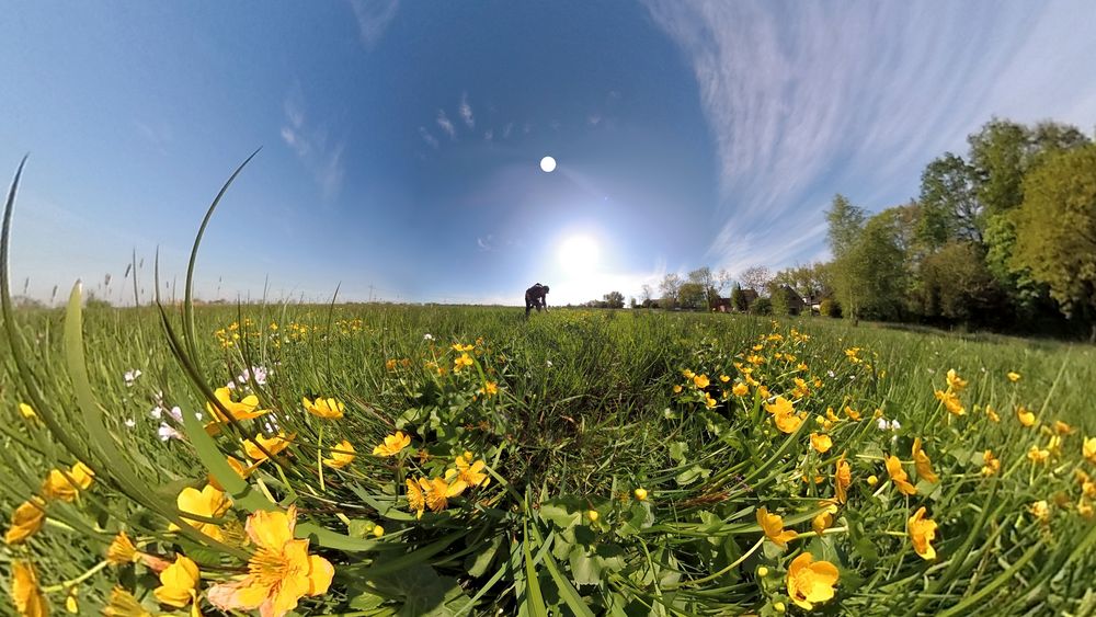 In der Botanik unterwegs