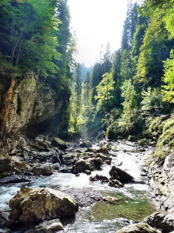 ....in der Breitachklamm....