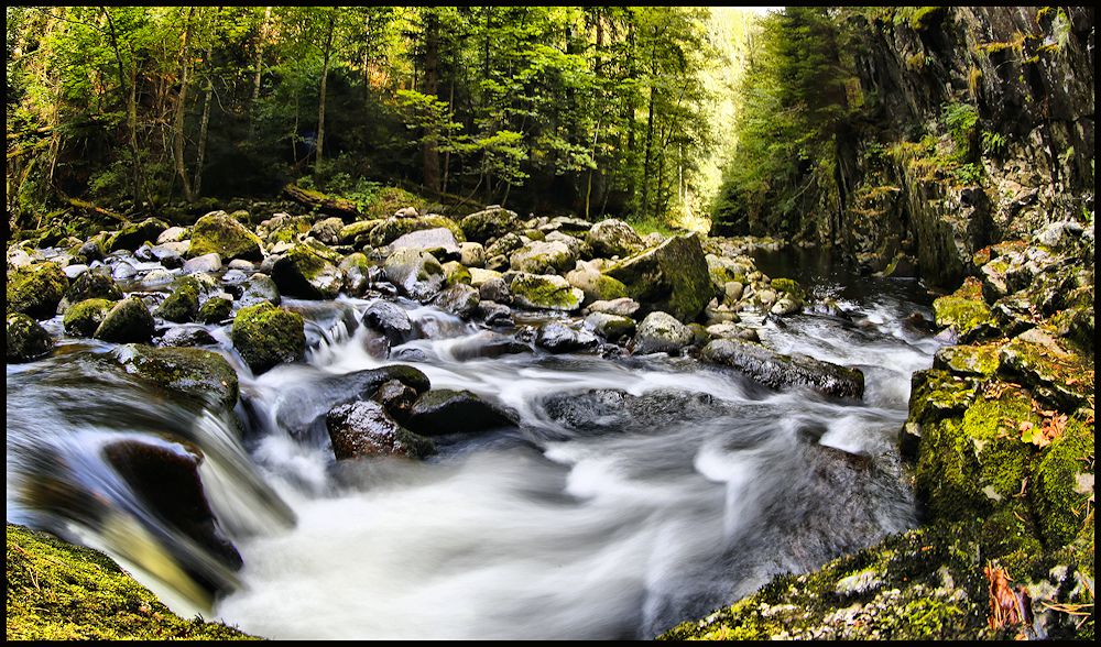 in der buchberger leite, bayerischer wald...