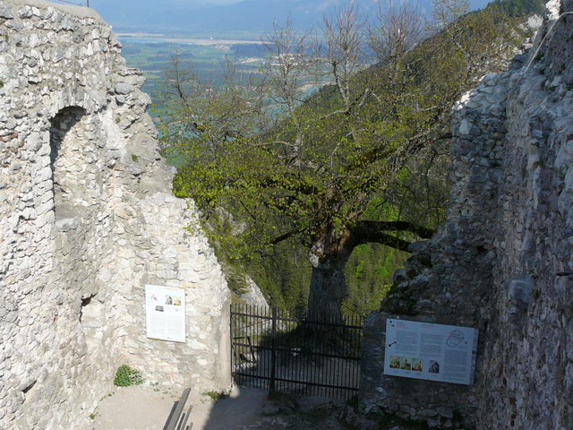 In der Burgruine Falkenstein bei Pfronten