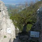 In der Burgruine Falkenstein bei Pfronten