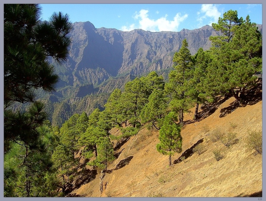 in der Caldera de Taburiente