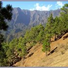 in der Caldera de Taburiente