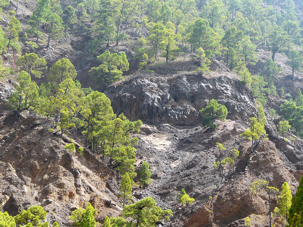 In der Caldera de Taburiente