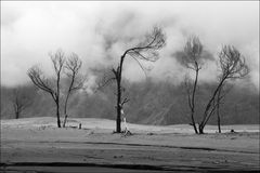 In der Caldera des Bromo