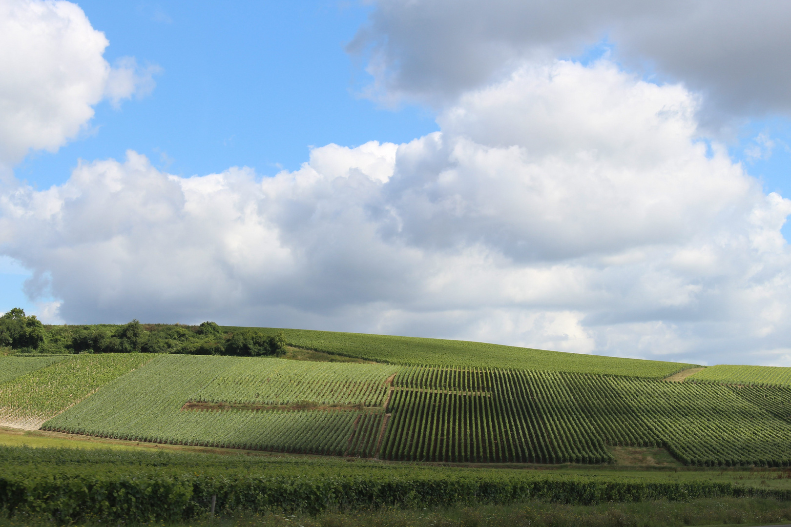 In der Champagne bei Reims