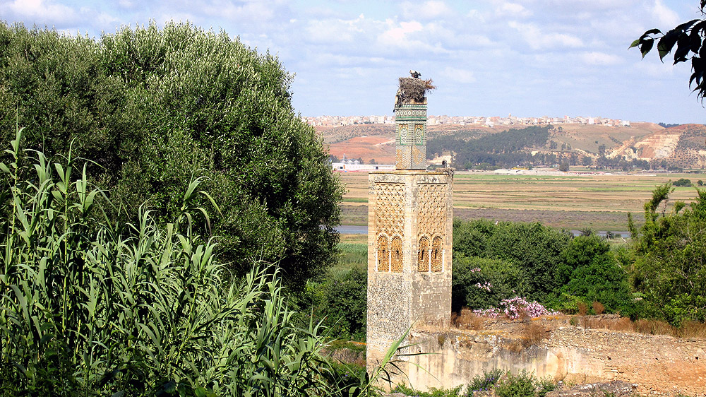 In der Chellah von Rabat