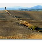 In der Crete bei Siena 2