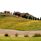 In der Crete Senesi 4