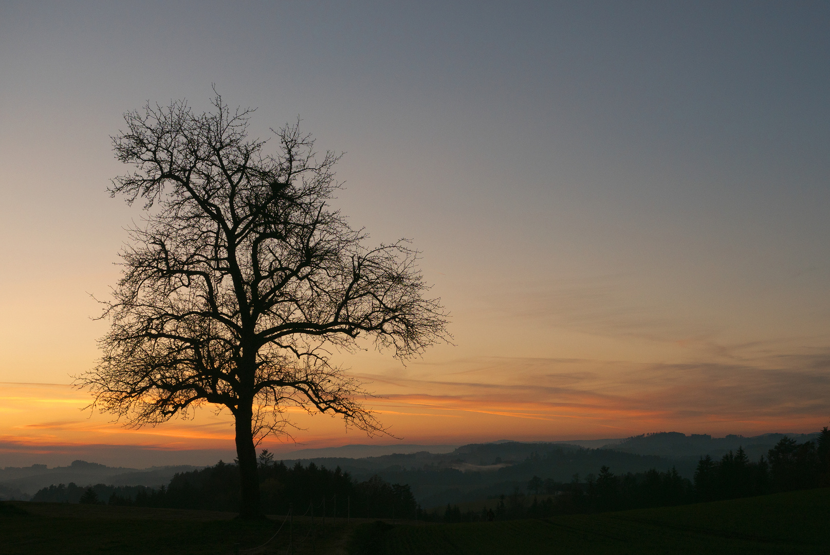 In der Dämmerung