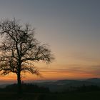 In der Dämmerung