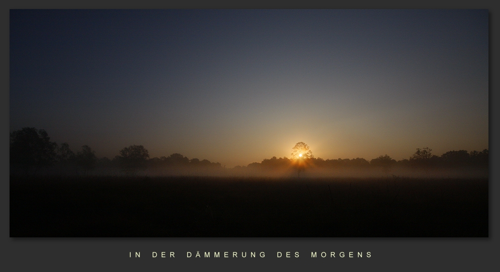 In der Dämmerung des Morgens