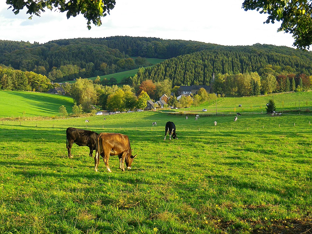 "In der Delling" im Berg.-Land