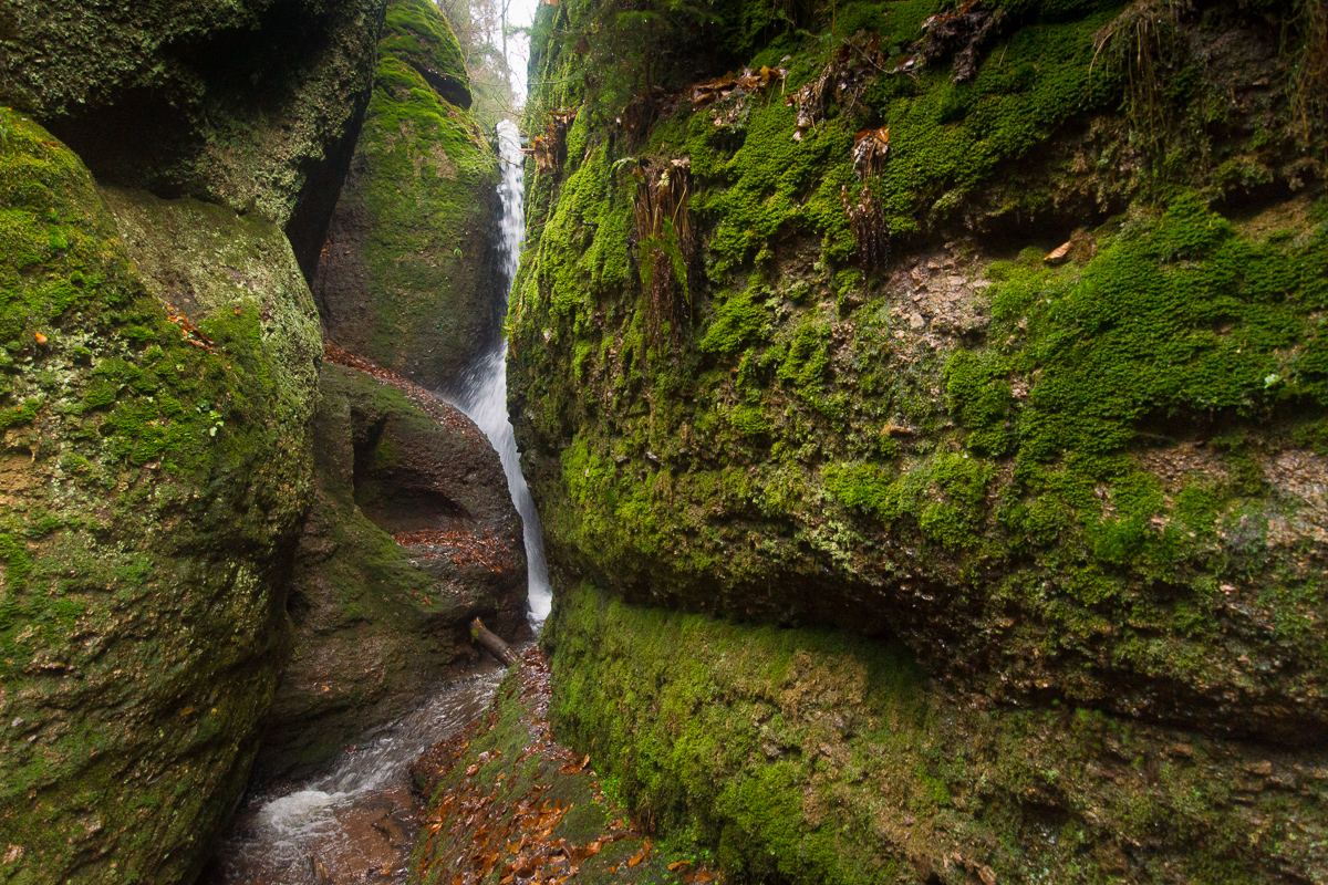 In der Drachenschlucht I