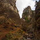 in der Ehnbachklamm