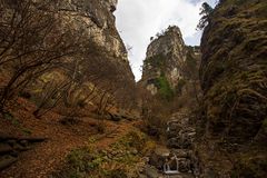 in der Ehnbachklamm