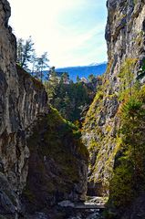 In der Ehnbachklamm