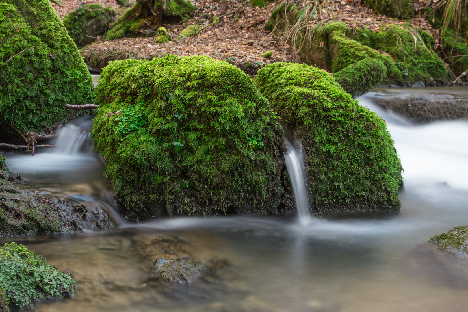 In der Ehrbachklamm