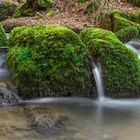 In der Ehrbachklamm