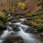 In der Ehrbachklamm