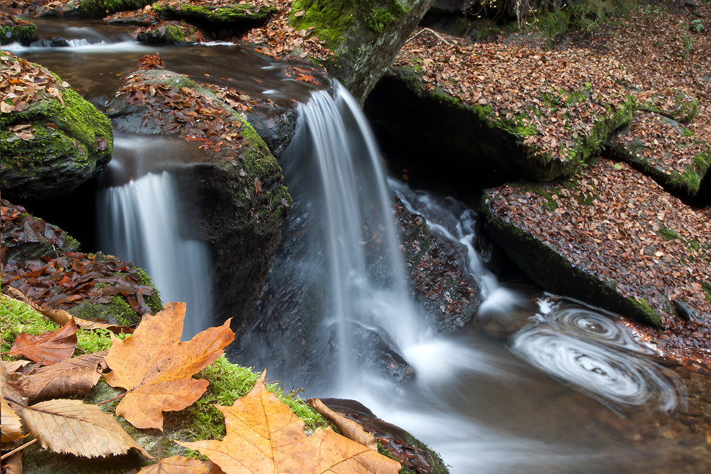 In der Ehrbachklamm