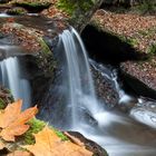 In der Ehrbachklamm