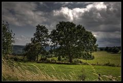 In der Eifel