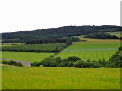 In der Eifel 3 - Schau` in` s Land