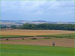 In der Eifel 4 - "abgeerntet"