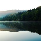 In der EIfel am Morgen