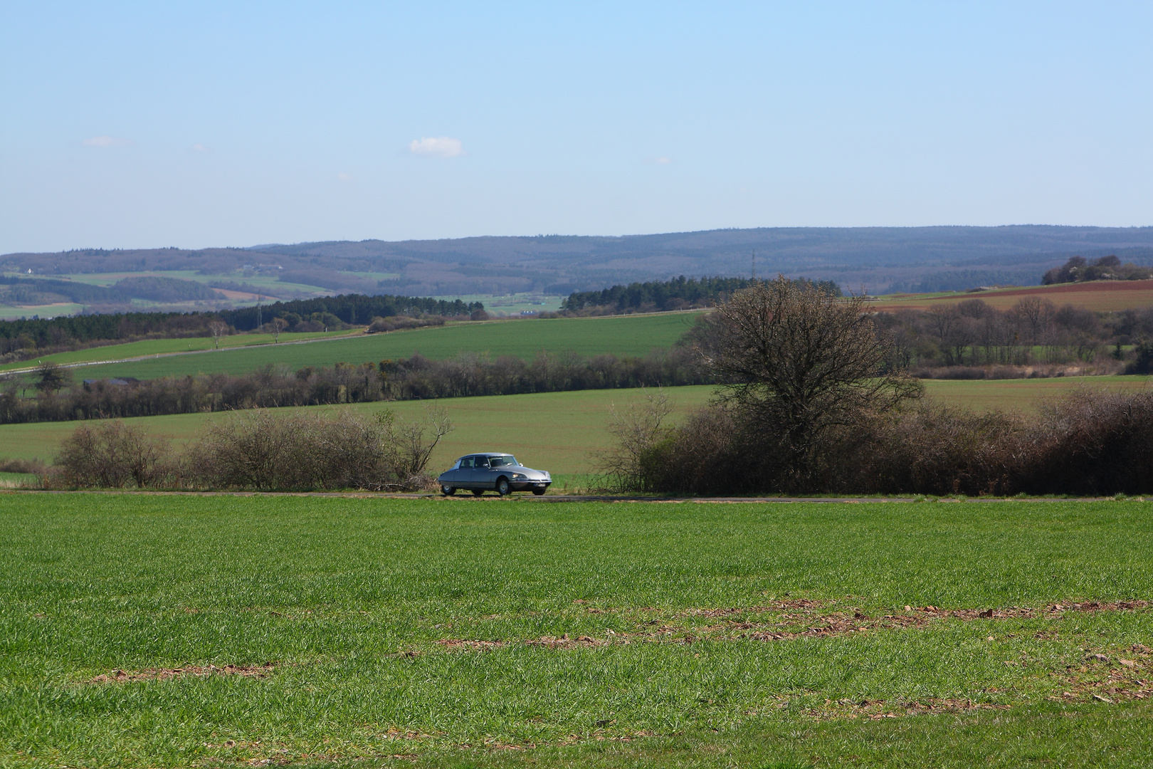 In der Eifel bei Mechernich