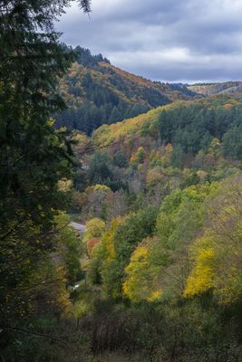 in der Eifel bei Schuld