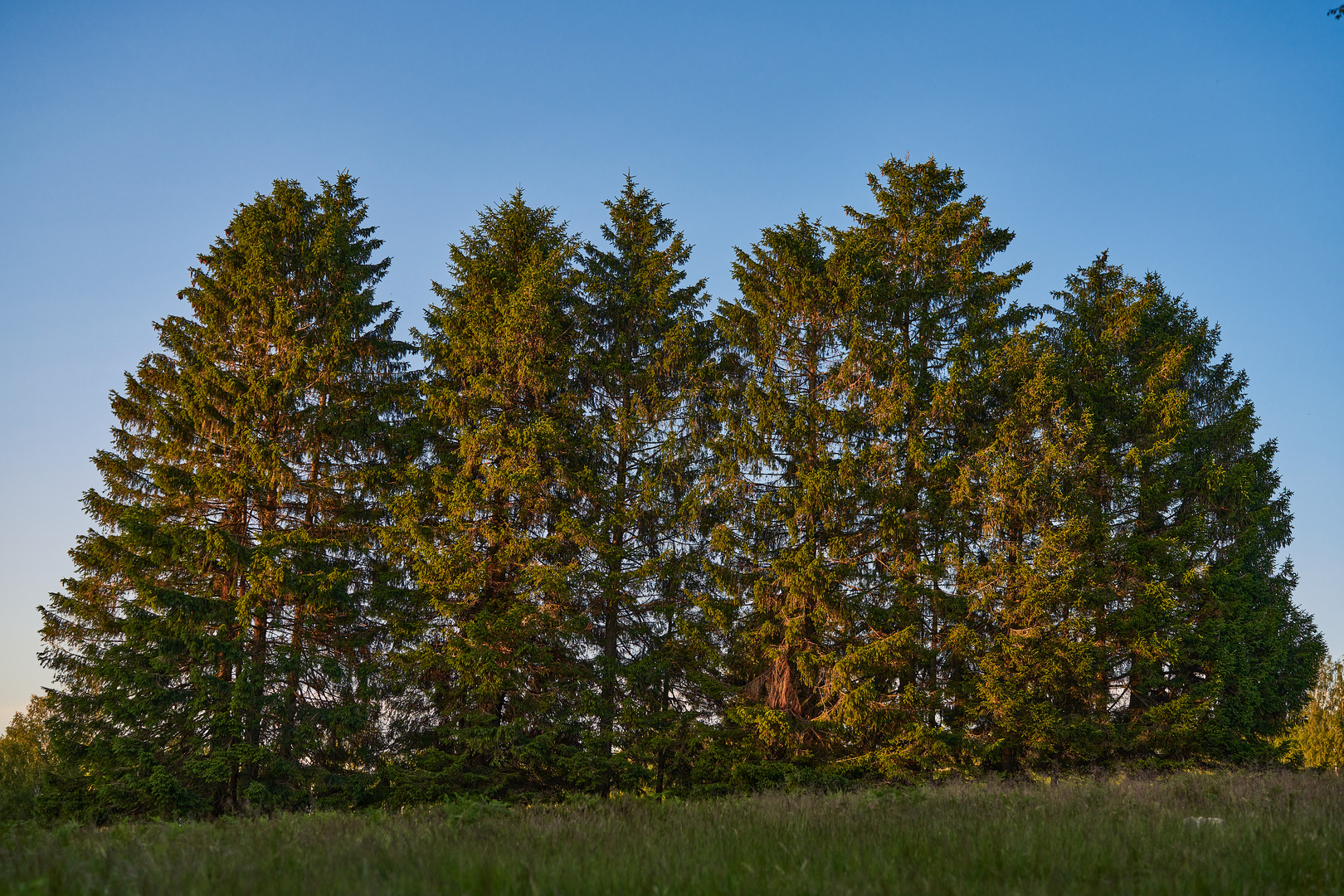 In der Eifel Buntes - 3