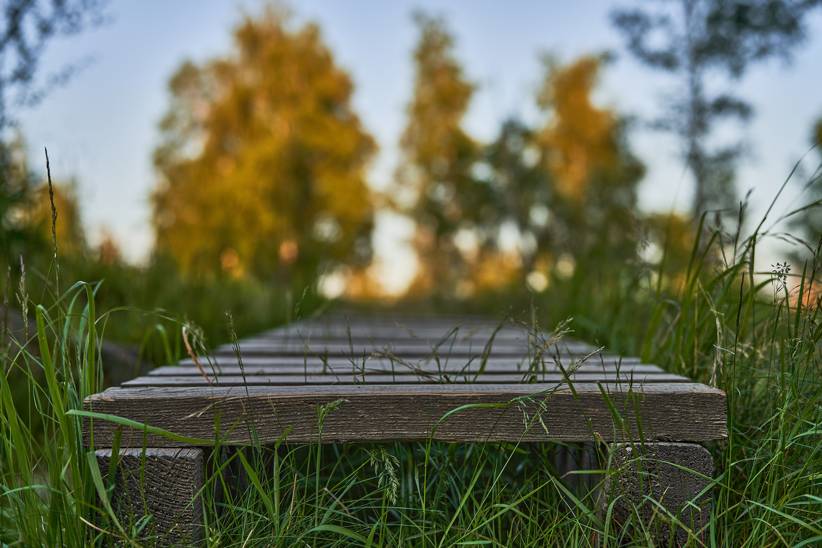 In der Eifel Buntes - 6