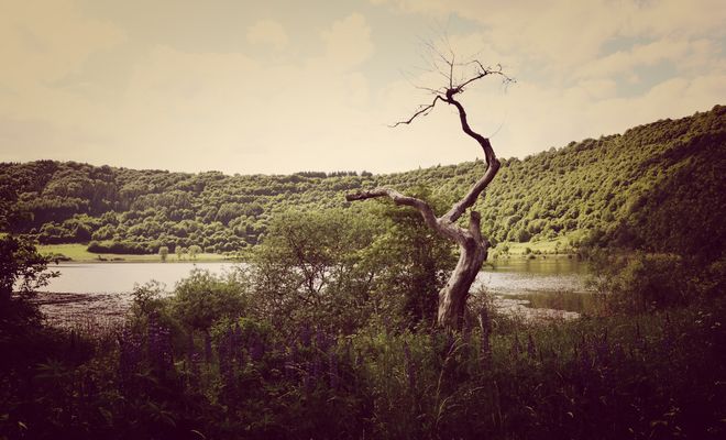 #....In der Eifel......#