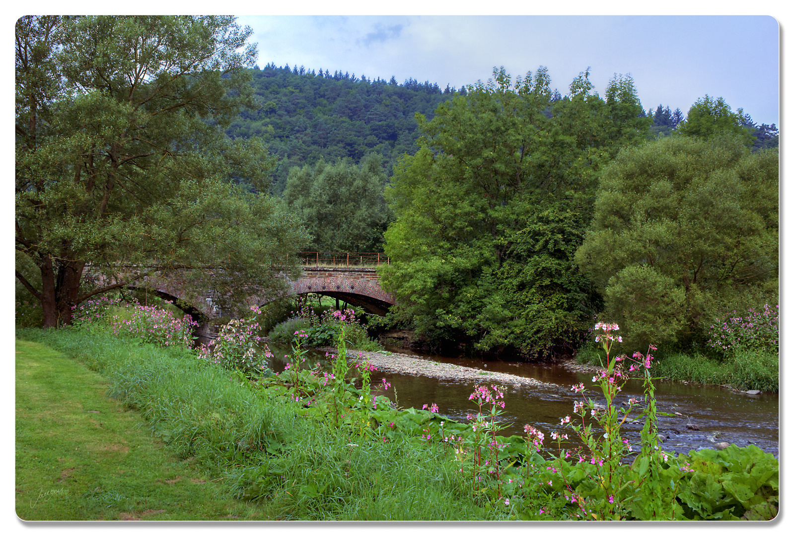 In der Eifel