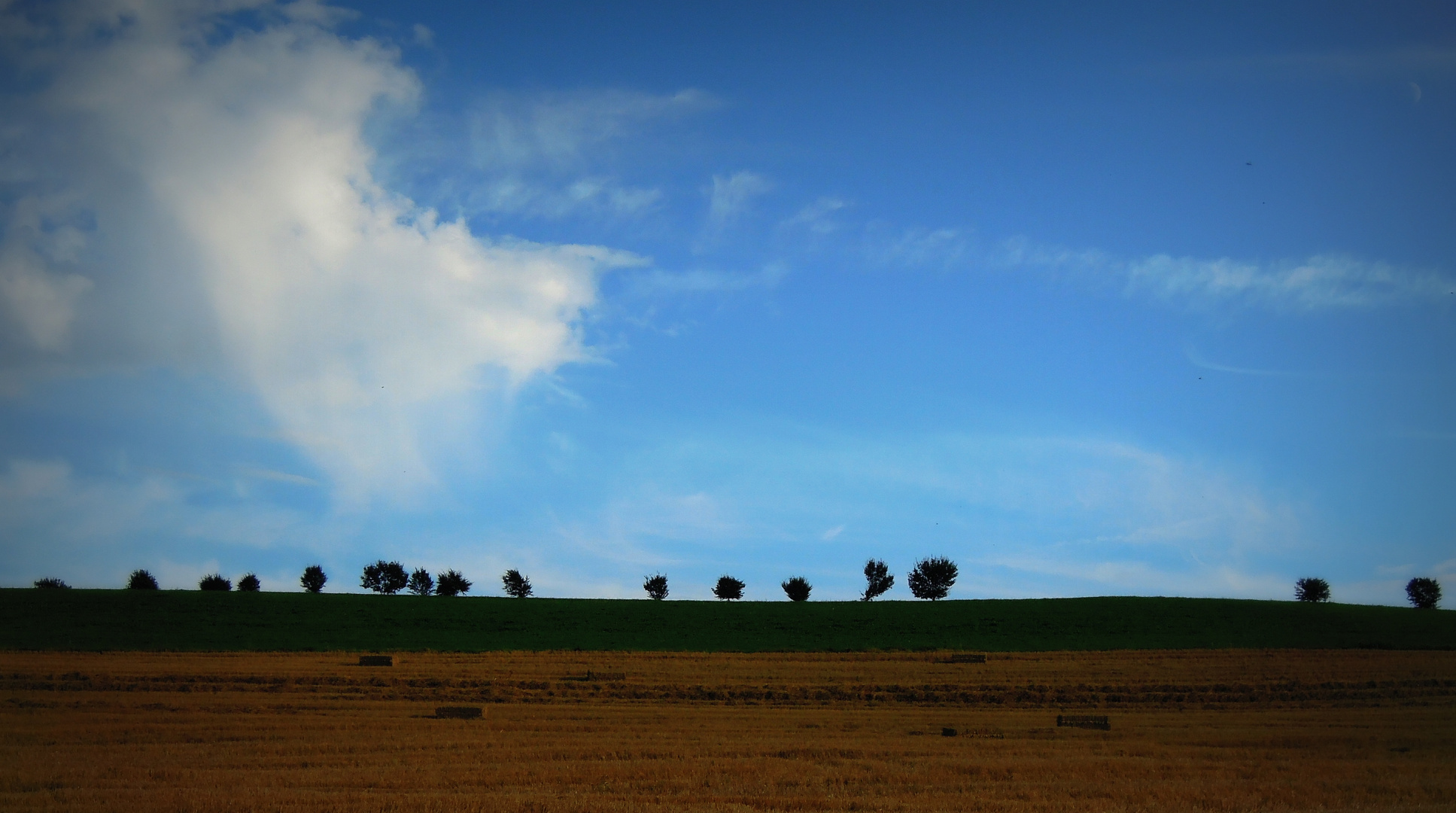 In der Eifel