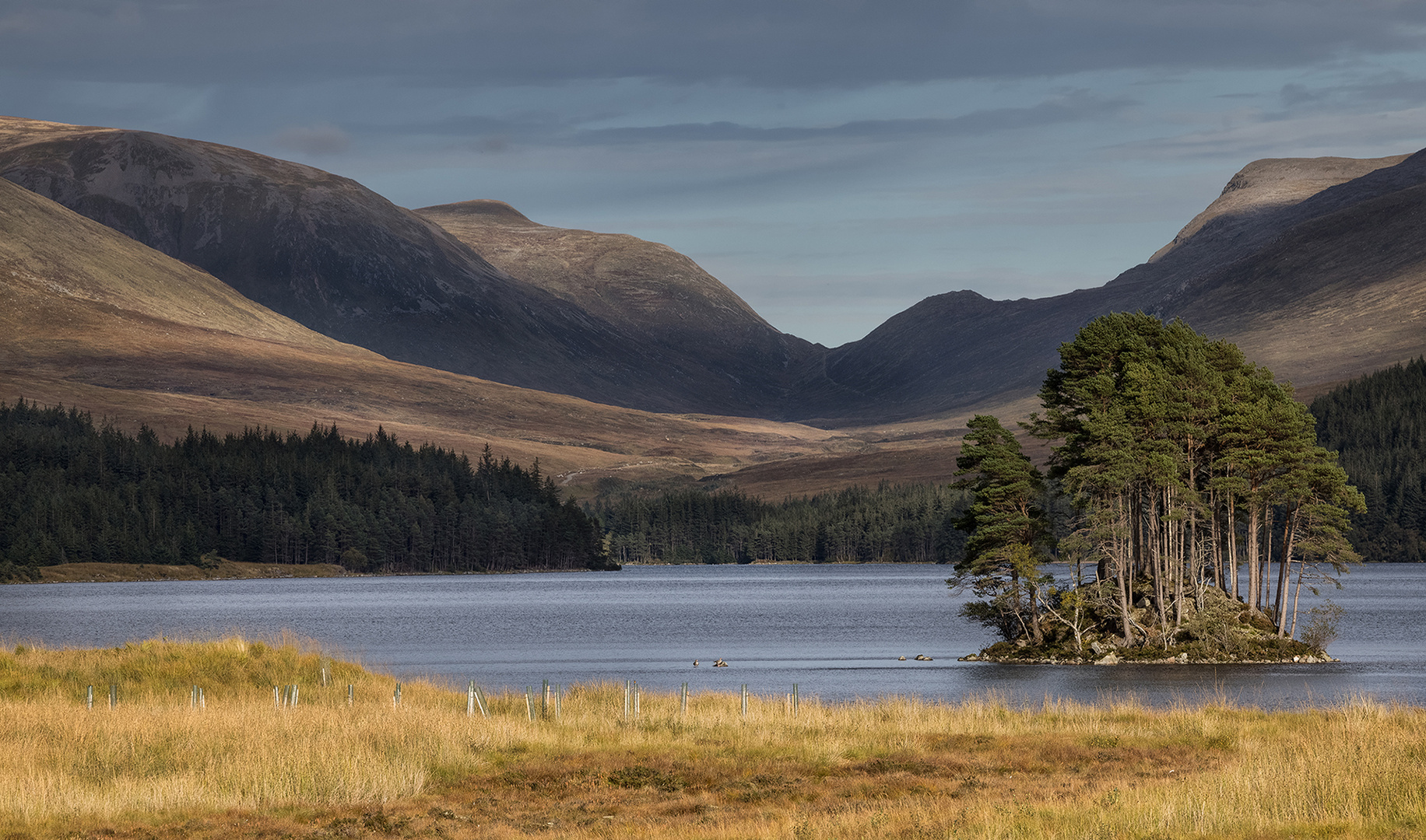 In der Einsamkeit der Highlands